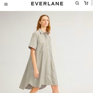 Everlane Daytripper Dress